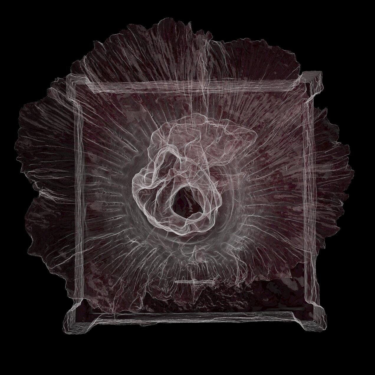 Close-up floral texture in deep red tones